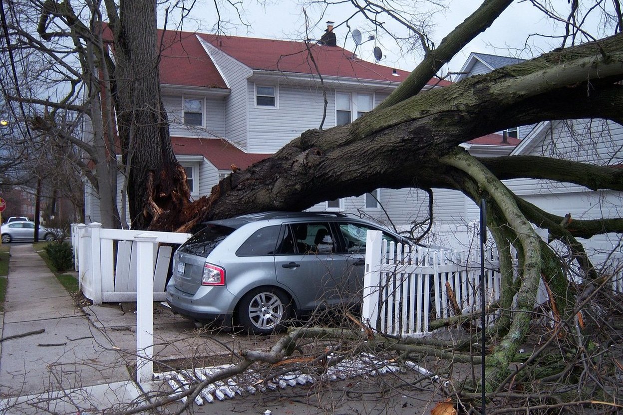 A fallen tree on a car and fence in front of a house after a storm.