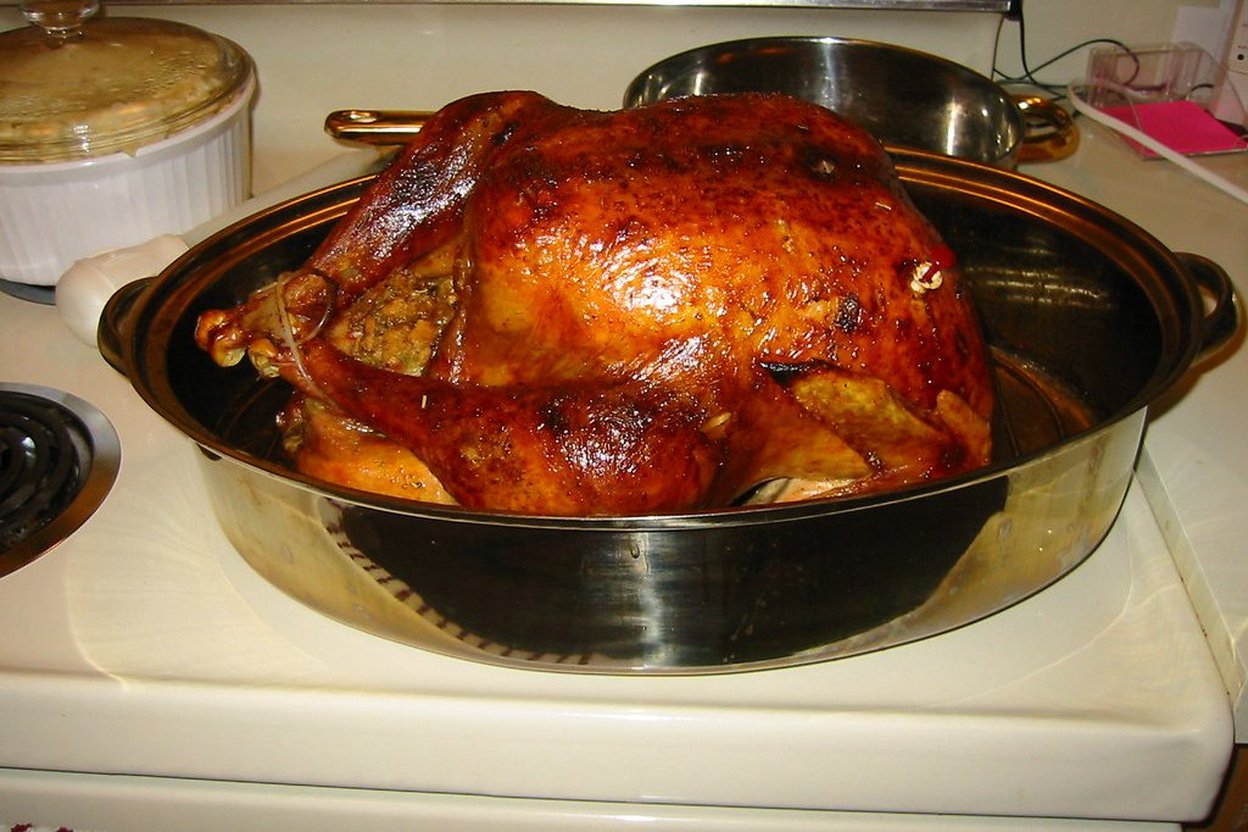 Roasted turkey in a metal roasting pan on a stovetop